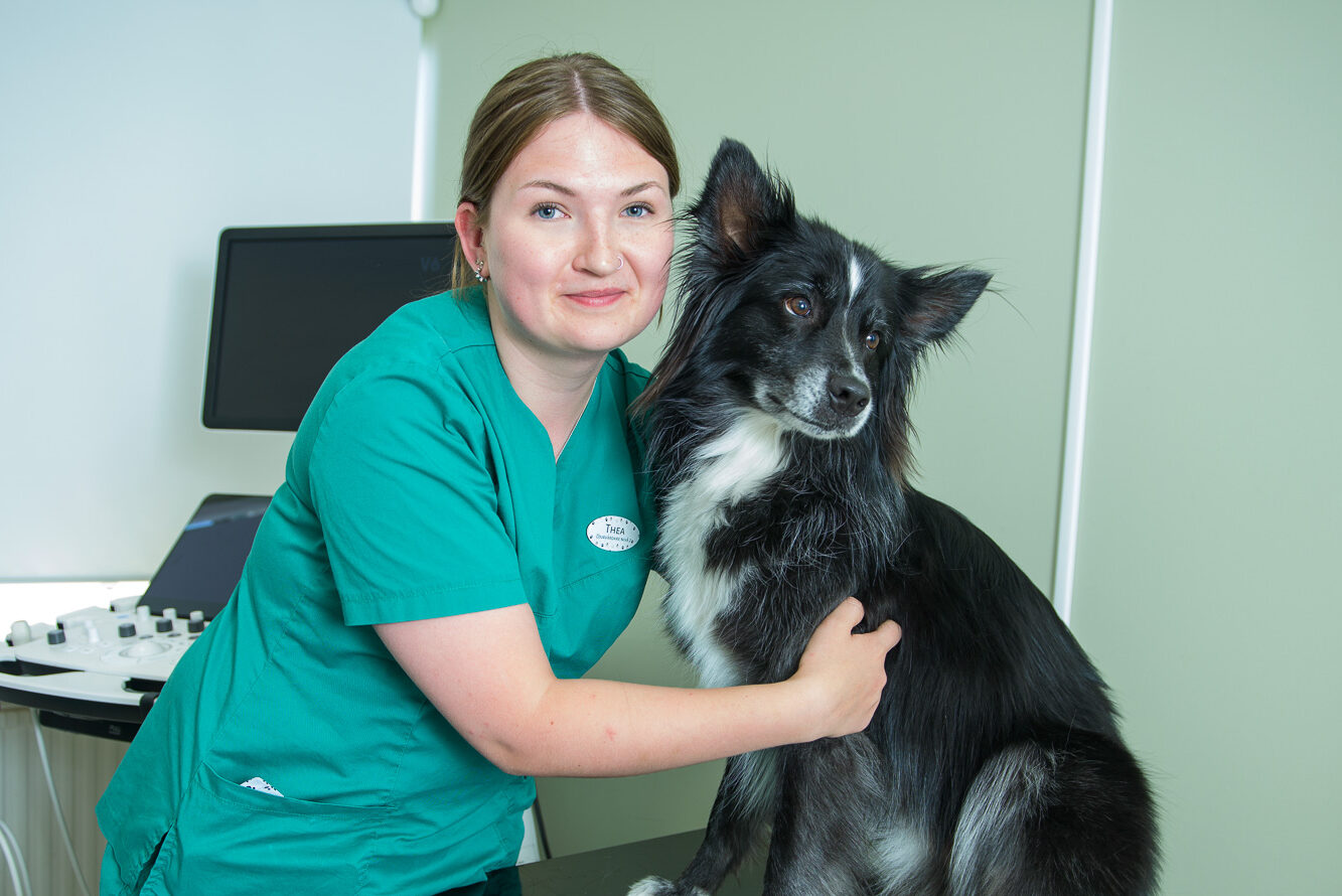 Möt vår djurvårdare Thea som arbetar med djursjukvård och service på UmeVet tillsammans med hunden Blixt